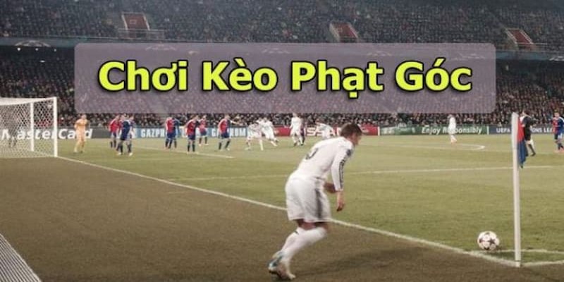 Nghiên cứu cách chơi kèo phạt góc hiệu quả