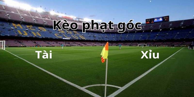 Cược phạt góc tài xỉu được bet thủ lựa chọn nhiều nhất